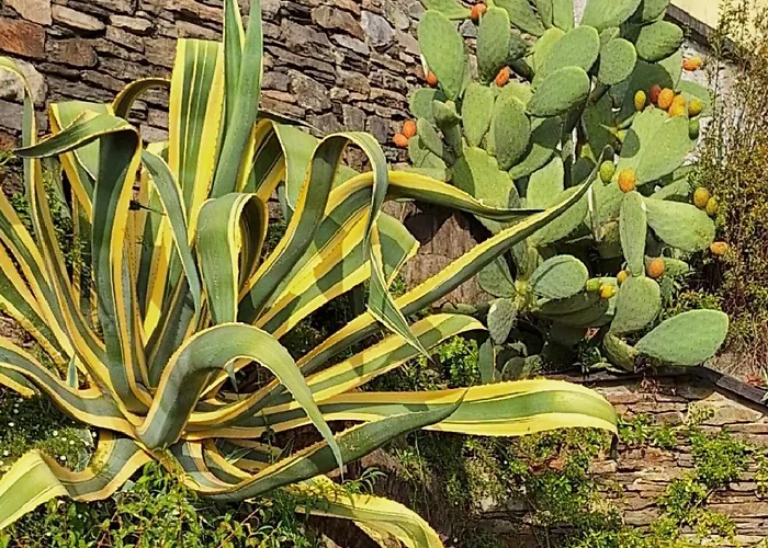 Sole & Lago-lake * Maccagno