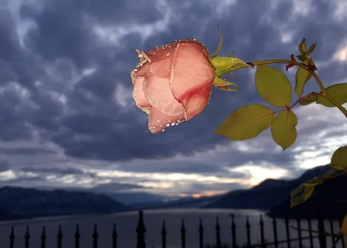 Sole & Lago-lake Lejlighed Maccagno